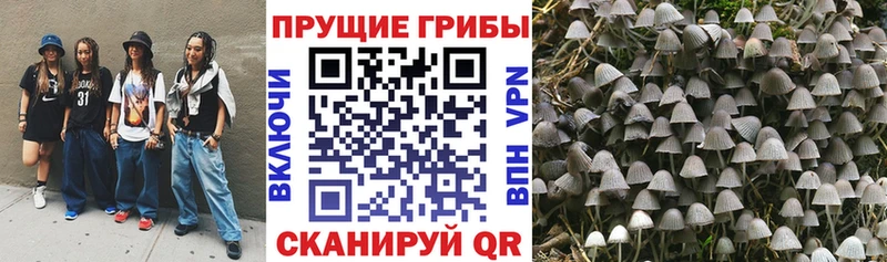 Галлюциногенные грибы MAGIC MUSHROOMS  Купить закладки  Николаевск-на-Амуре 